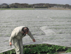 宮崎県産　はざま牧場　野菜事業部